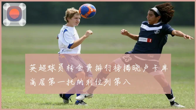 英超球员转会费排行榜揭晓卢卡库高居第一托纳利位列第八