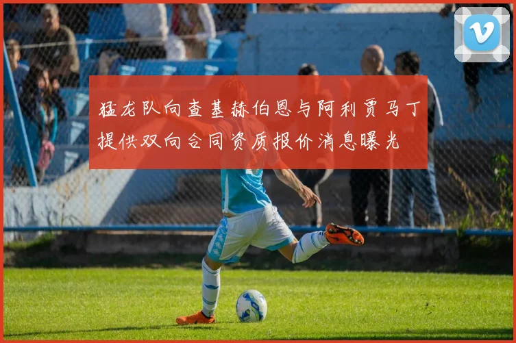 猛龙队向查基赫伯恩与阿利贾马丁提供双向合同资质报价消息曝光
